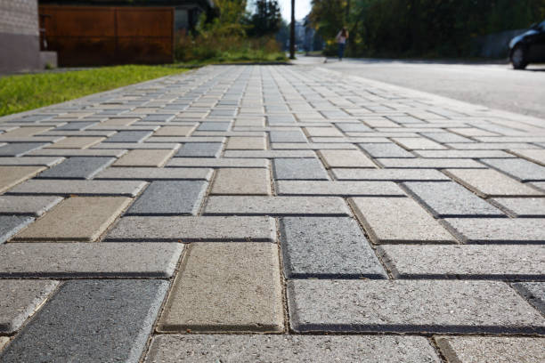 Reasons to Select Us for Your Driveway Paving Requirements in Detroit Beach, MI