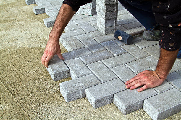 Best Custom Driveway Pavers  in Detroit Beach, MI